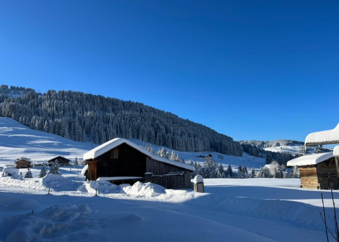 Le Chalet Du Cret - 8 Pers, Tout Confort Avec Jacuzzi Нотр-Дам-де-Белькомб Екстер'єр фото